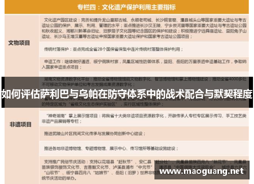 如何评估萨利巴与乌帕在防守体系中的战术配合与默契程度