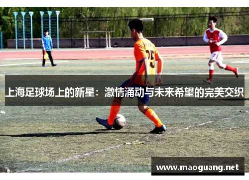 上海足球场上的新星：激情涌动与未来希望的完美交织