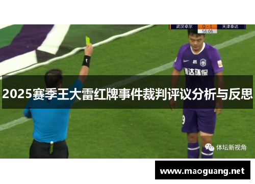 2025赛季王大雷红牌事件裁判评议分析与反思