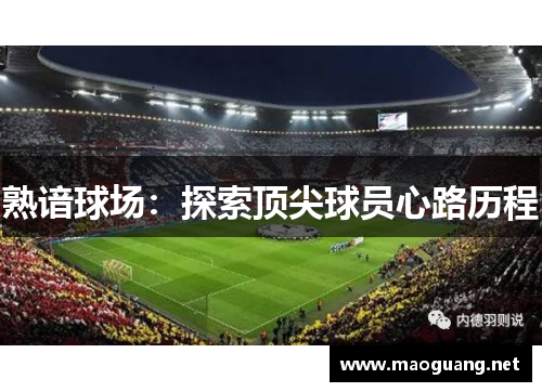 熟谙球场：探索顶尖球员心路历程